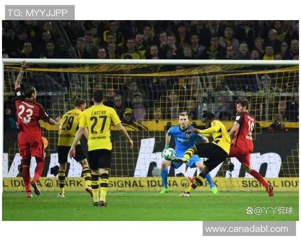 弗兰克福逆袭绝胜，终止汉堡连胜！